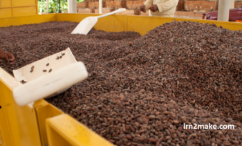 cocoa dryer